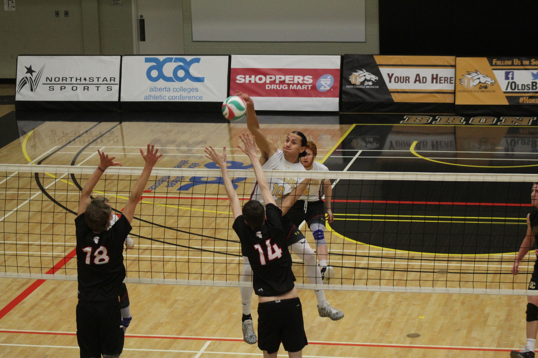 http://gobroncos.ca/sports/mvball/2019-20/photos/IMG_3452_Photo_by_Abbey_Iverson.jpg