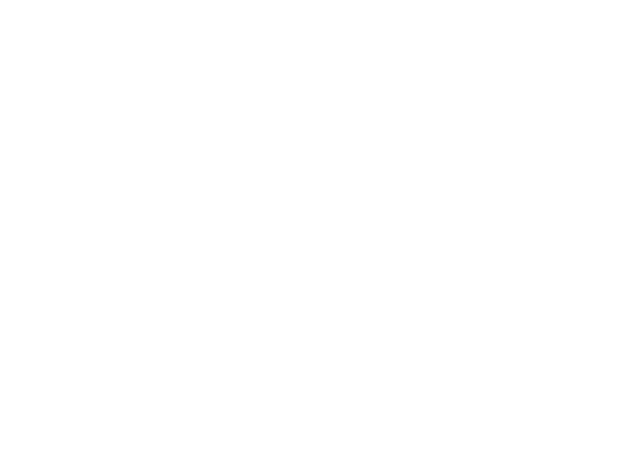  Rodeo Icon 